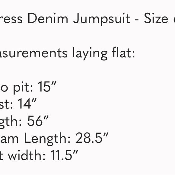 Express Denim Jumpsuit - Picture 4 of 4